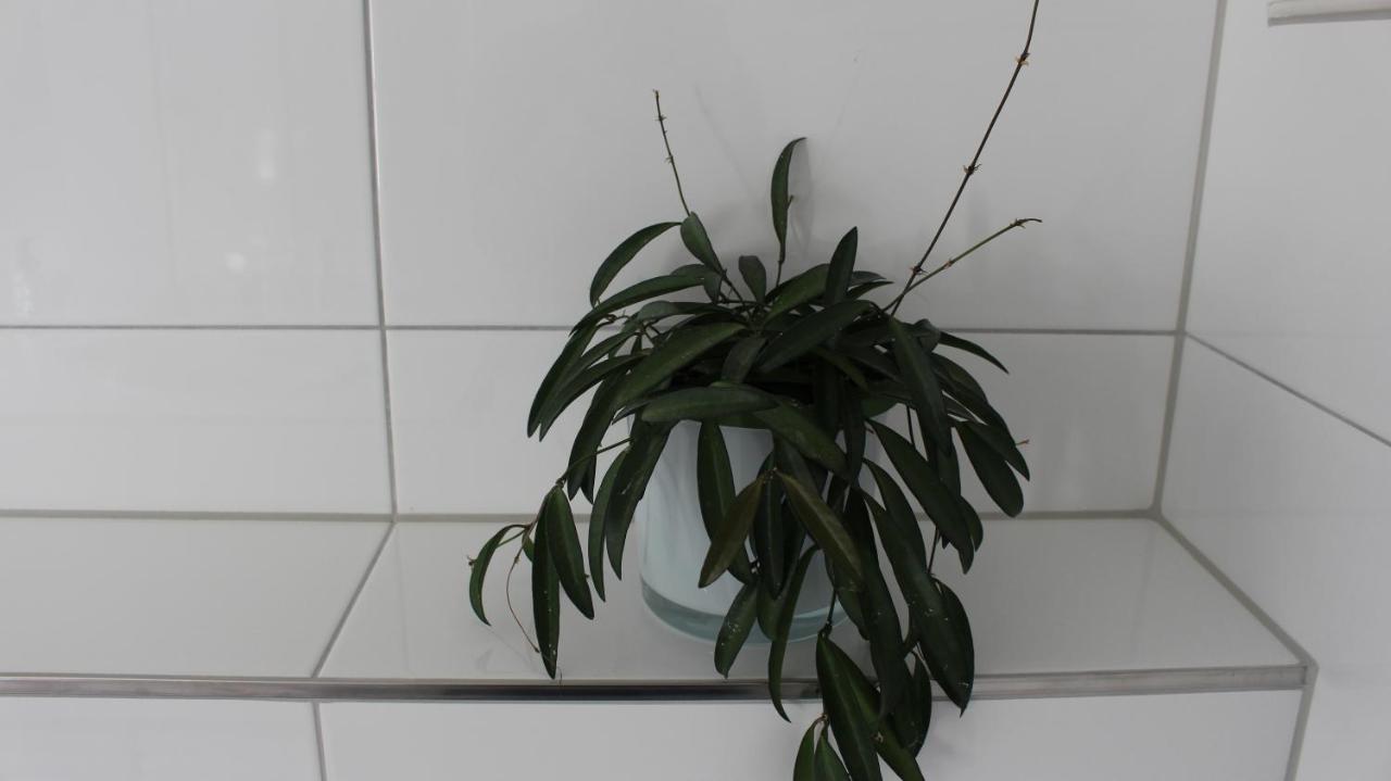 Appartement Maria Эгг Экстерьер фото